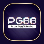 PG88 TRADE Profile Picture