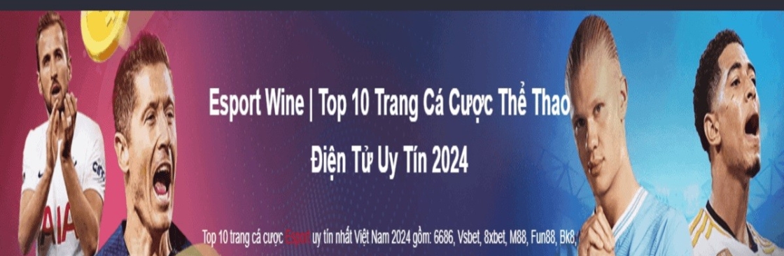Esport Wine Top 10 Trang Cá Cược Thể Thao Điện Tử U Cover Image