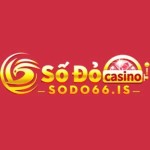 Sodo66 Profile Picture