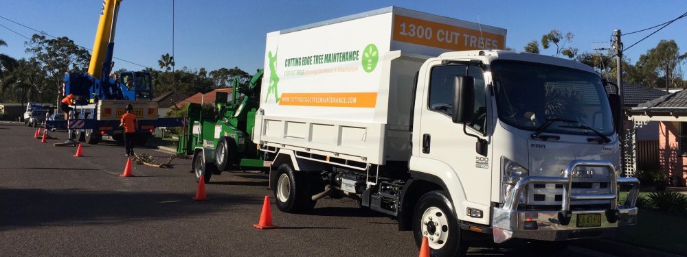 Tree Care Services Newcastle