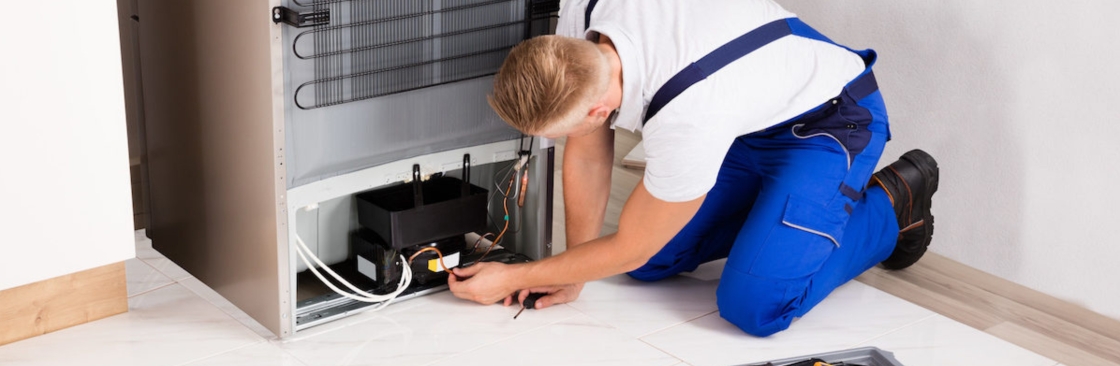 The Appliance Repair Professionals Cover Image