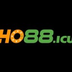 ho88icu Profile Picture