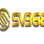 SV368 foundation Profile Picture
