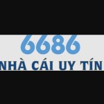 VSBET Profile Picture