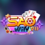 SAO79 Profile Picture