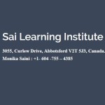 sailearninginstitute Profile Picture