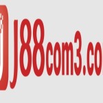 J88 TRANG CHU Profile Picture