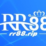 rr88rip Profile Picture