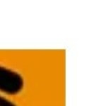 happy shells Profile Picture