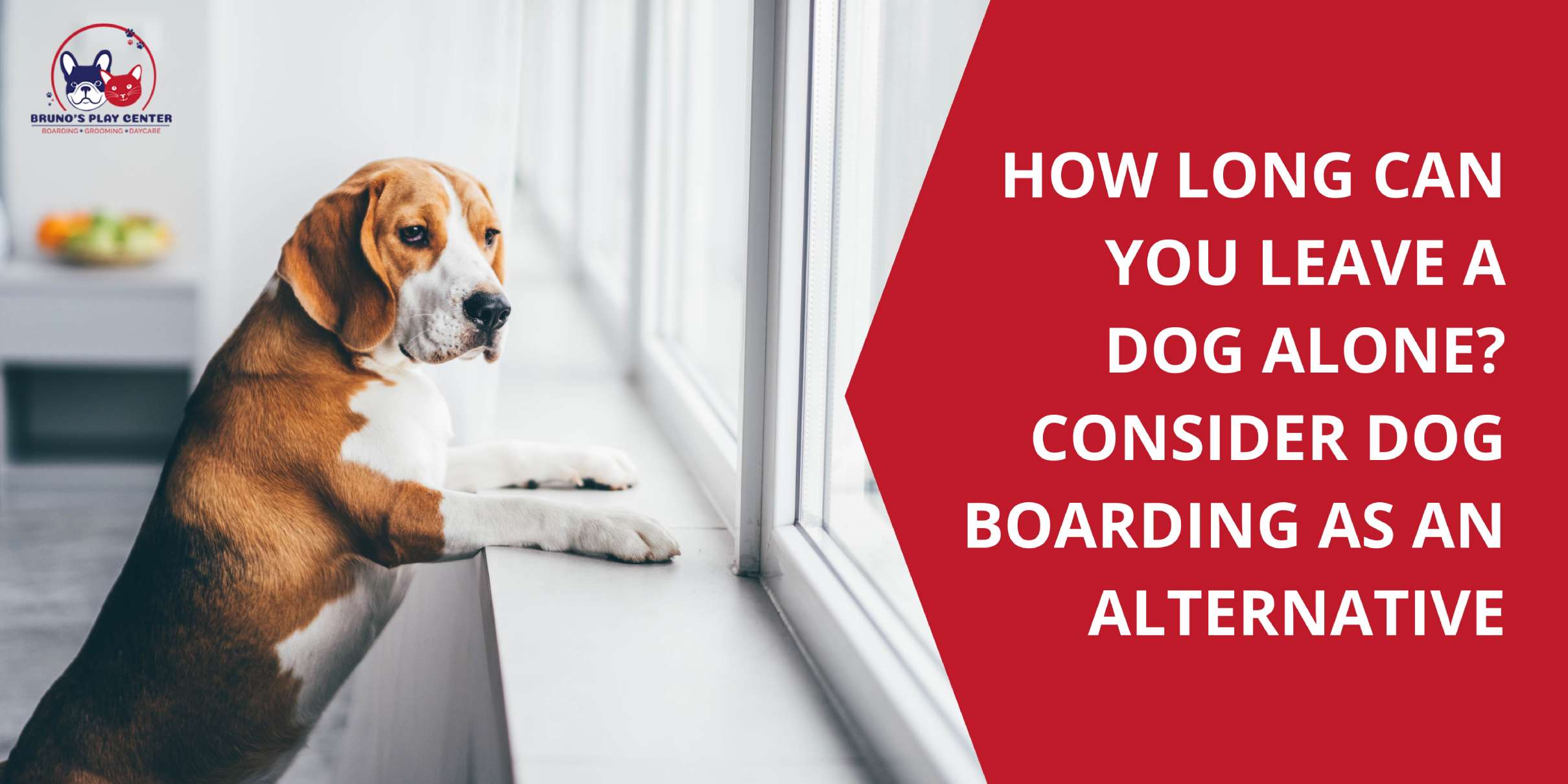 How Long is Too Long to Leave Your Dog Alone?