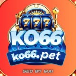KO66 NET CO Profile Picture