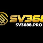 SV3688 PRO Profile Picture