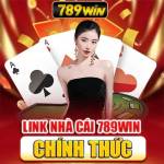 789wincv Profile Picture