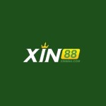 Xin88 Com Profile Picture