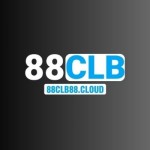 88CLB88 CLOUD Profile Picture