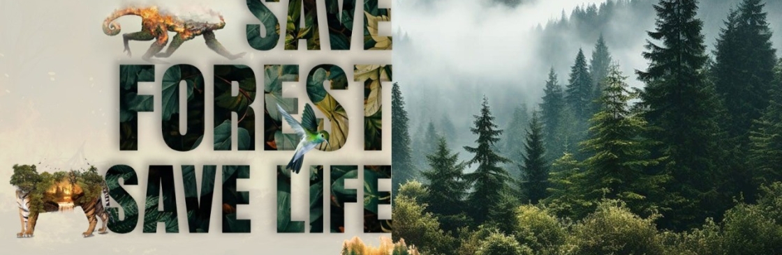 Needleleaf Foundation Cover Image