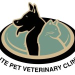Elite Pet Profile Picture