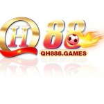 QH88 Profile Picture