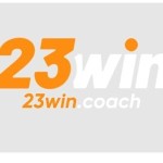 NHA CAI 23WIN Profile Picture