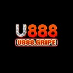 u888gripe Profile Picture