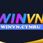 winvn Profile Picture