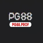 PG88 Profile Picture