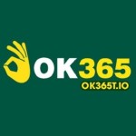 Ok365t Io Profile Picture