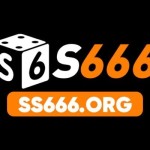 ss666 org Profile Picture