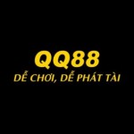 QQ88 Org Profile Picture