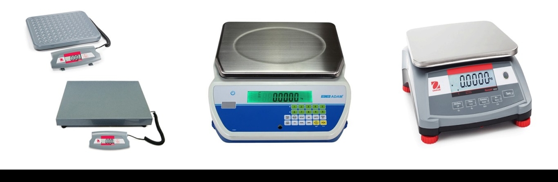 Scales and Balances Cover Image