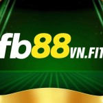 FB88vn fit Profile Picture