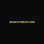 bồ gà cây me Profile Picture
