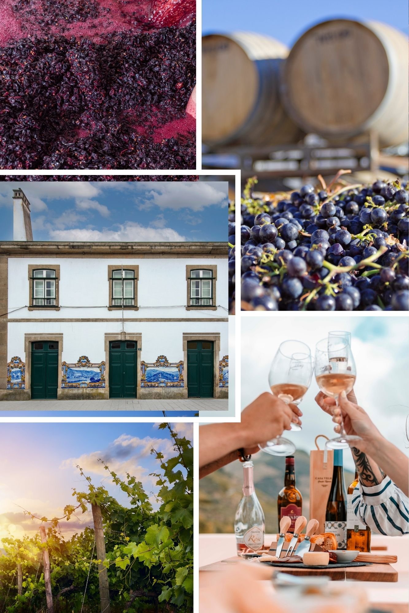 Explore Douro Valley Wine Tasting Tours, Tradition & Culture