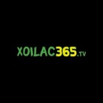 Xoilac Tv Profile Picture
