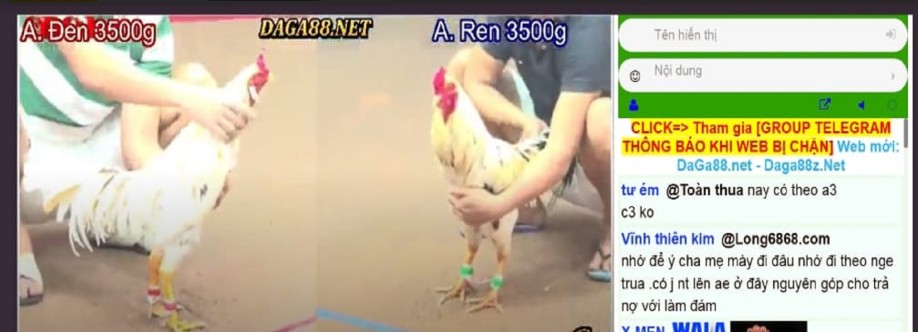 Thomo88 Trải Nghiệm Đá Gà Đỉnh Cao Cùng  Cover Image