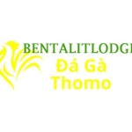 dagaabenta Profile Picture