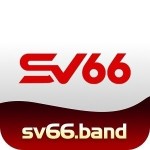 SV66 band Profile Picture