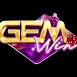 GEMWIN ORG Profile Picture