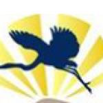 Great Blue Profile Picture