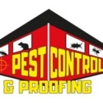 Ni pest control and proofing Profile Picture