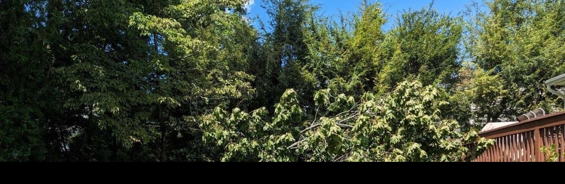 EB Adjusting Cover Image