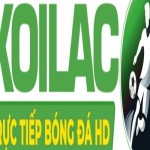 wredlichcom6 Profile Picture