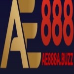 AE888 Profile Picture