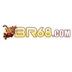 br68com Profile Picture
