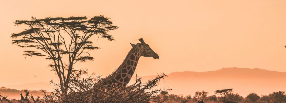 African Memorable Safaris Cover Image