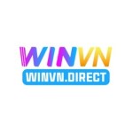 winvn direct Profile Picture