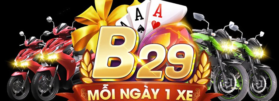 b29 Cover Image