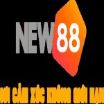 NEW88 Vi Profile Picture