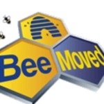 Bee_Moved Profile Picture