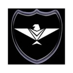 Eagle Security Services Corporation Profile Picture